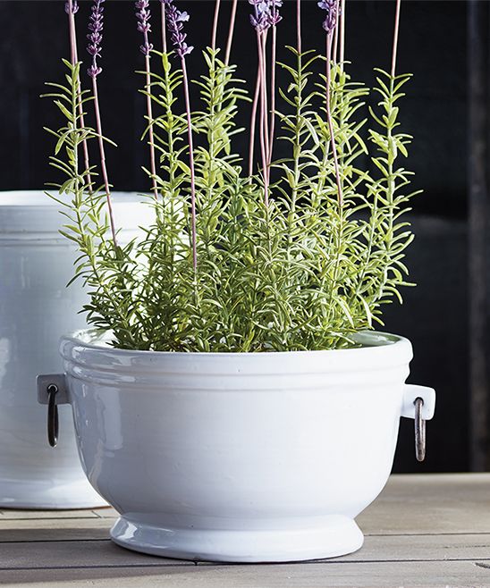 NAPA HOME & GARDEN DAWSON CACHEPOT 10.5" - Hollow Way Home