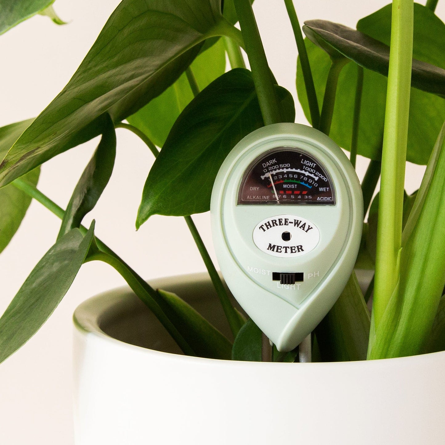 Moisture Meter - Jungle Club - Hollow Way Home