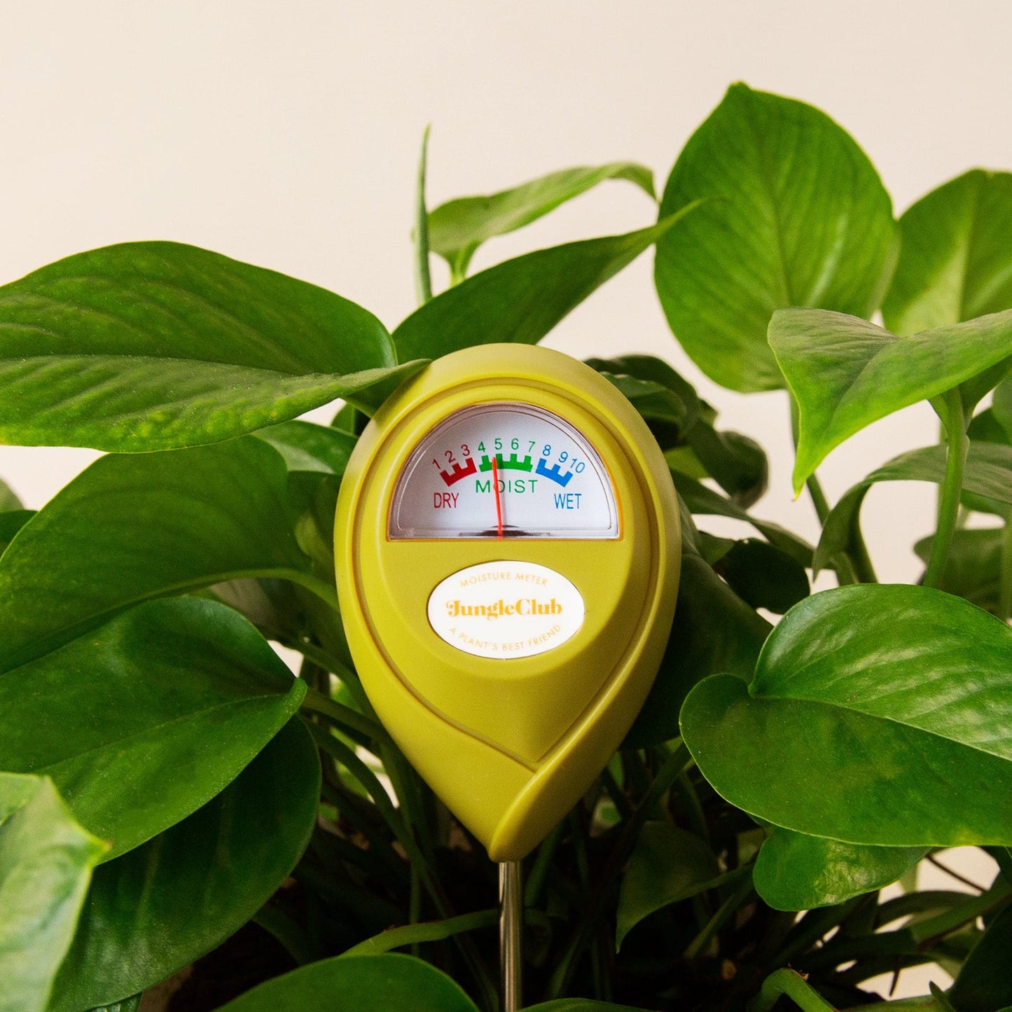 Moisture Meter - Jungle Club - Hollow Way Home