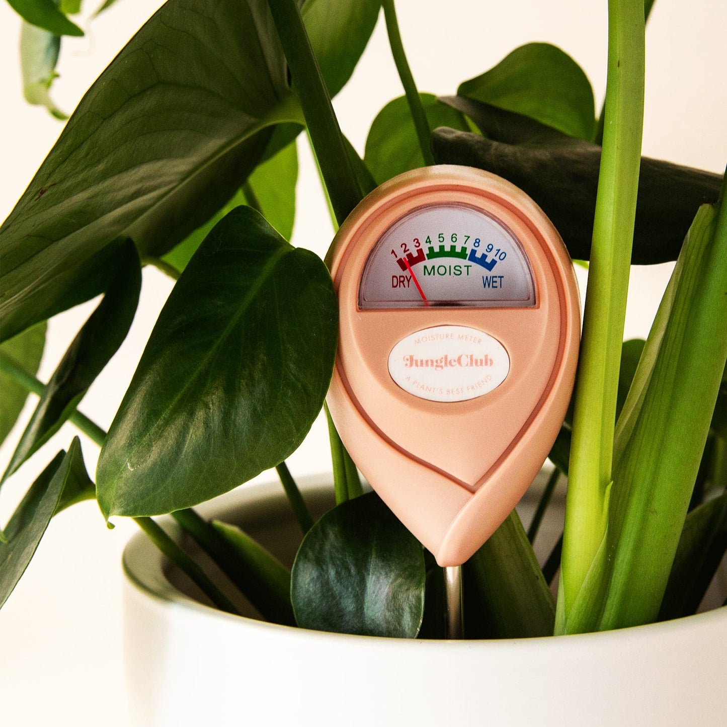 Moisture Meter - Jungle Club - Hollow Way Home