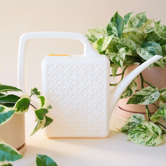 Breeze Block Watering Can - Jungle Club - Hollow Way Home