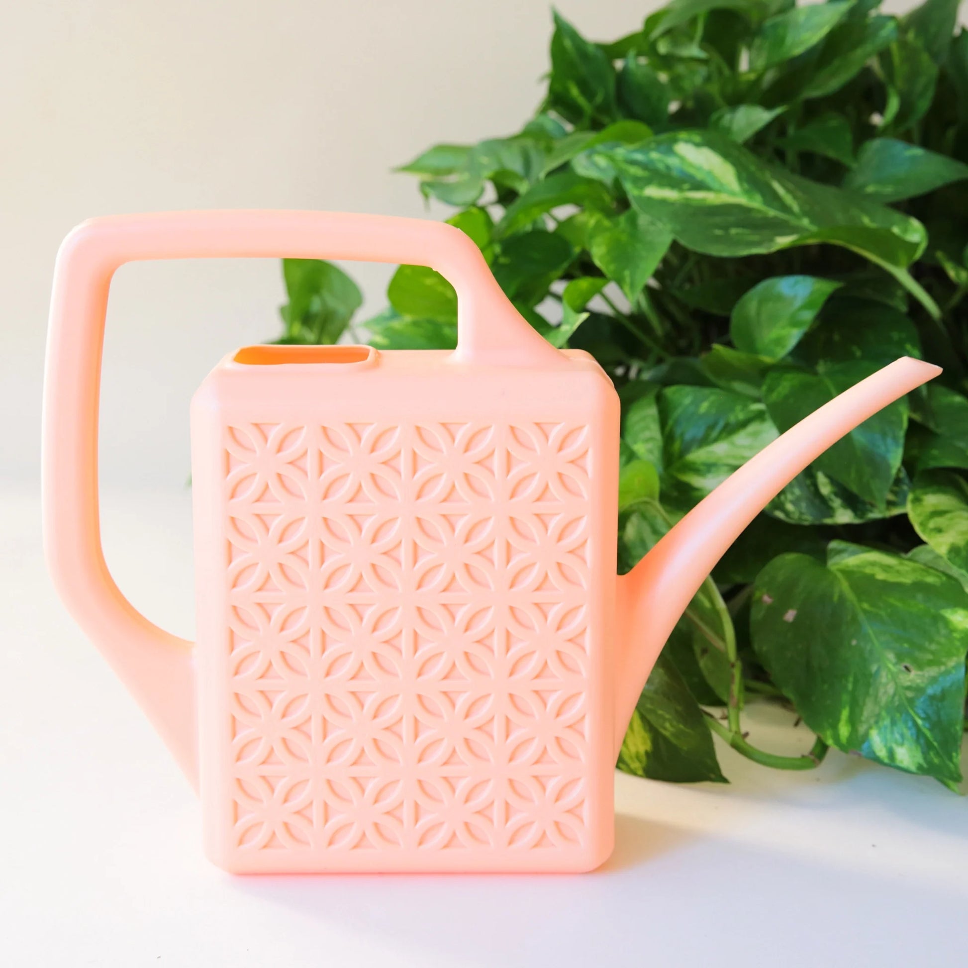 Breeze Block Watering Can - Jungle Club - Hollow Way Home