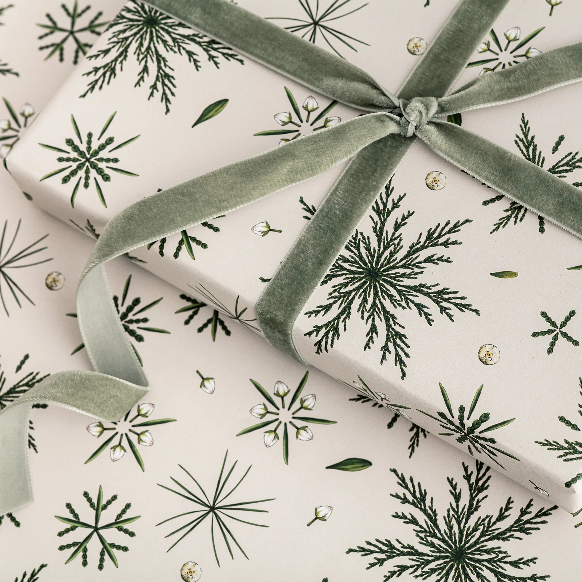 Festive Foliage - Ivory Christmas Gift Wrap - Hollow Way Home