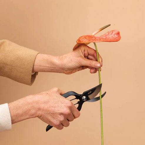 Sentei Secateurs Japanese Pruners - Hollow Way Home