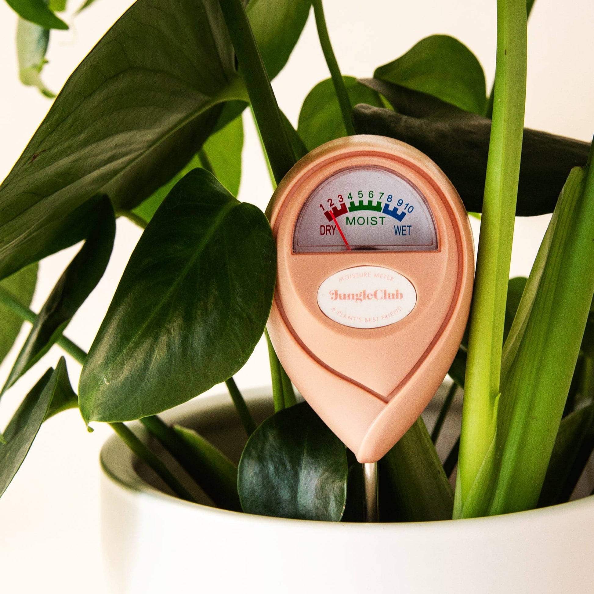 Moisture Meter - Jungle Club - Hollow Way Home