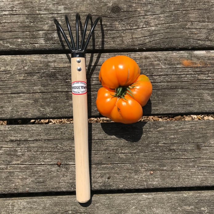Bridgetown Garden Long Handle Claw Rake & Cultivator