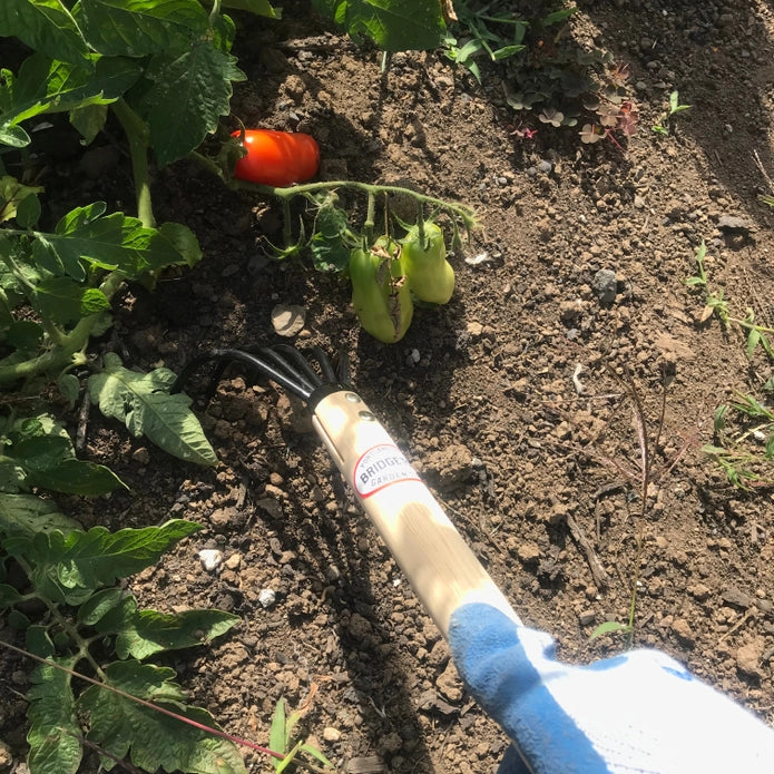 Bridgetown Garden Long Handle Claw Rake & Cultivator